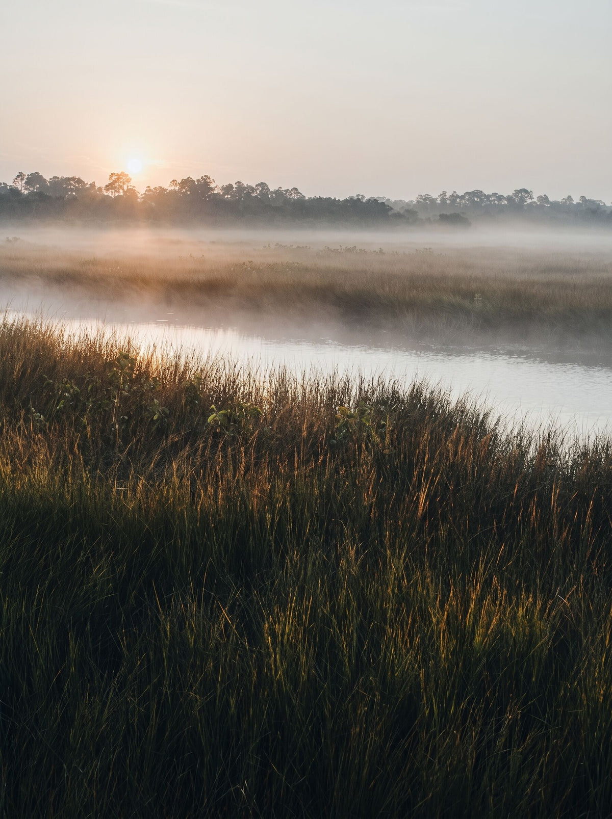 Tidal creek at first light