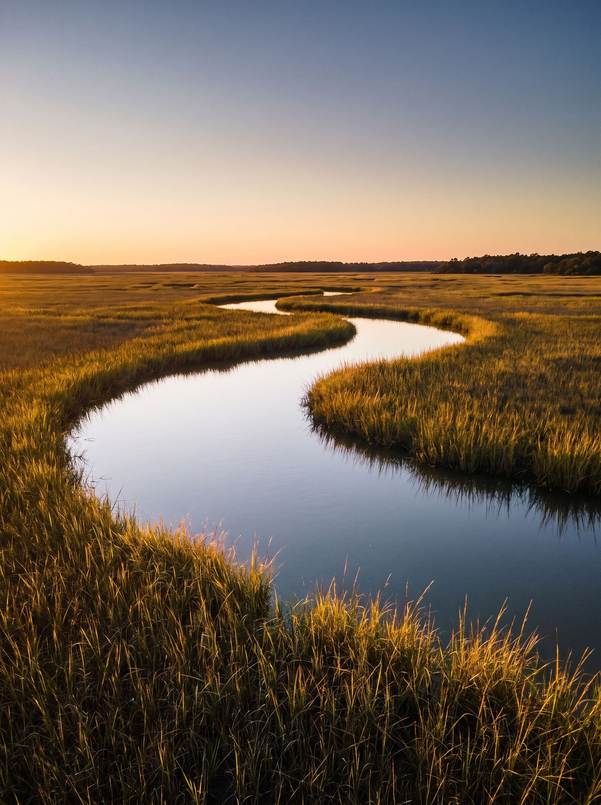 A tidal creek winding through the Georgia marsh at sunset